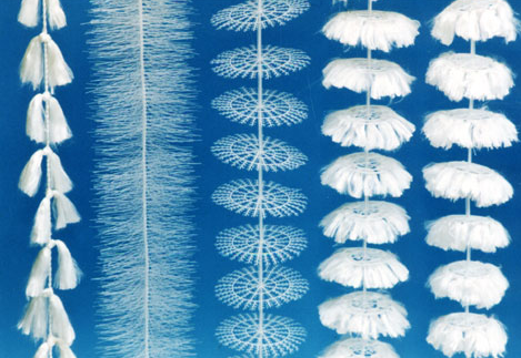 ܛ<a href='http://www.wuaixuexi.cn/jstl/' target='_blank'><u>a(chn)S</u></a>